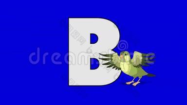 字母B和鸟（前景）